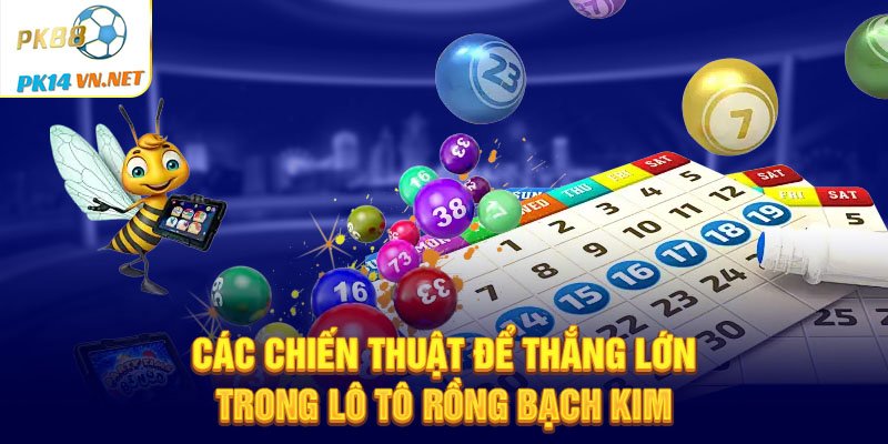 Các chiến thuật để thắng lớn trong lô tô Rồng Bạch Kim